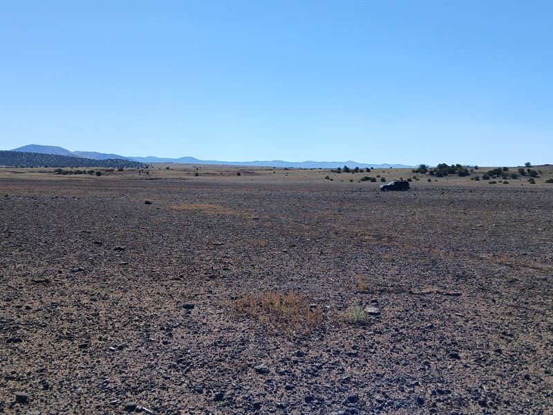 Enjoy Watching The Beautiful Stars : Concho : Apache County : Arizona