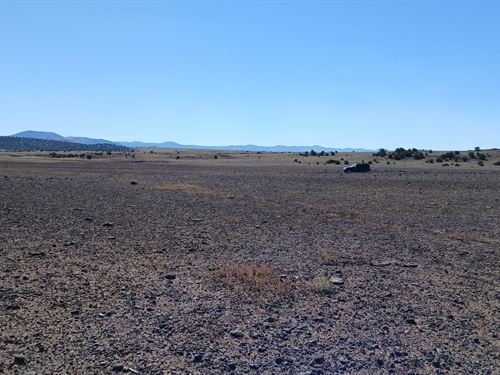 Enjoy Watching The Beautiful Stars : Concho : Apache County : Arizona