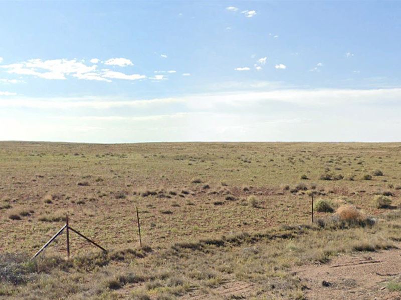 Buy This 1.33 Acre Arizona Lot : Sun Valley : Navajo County : Arizona