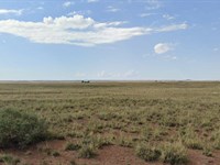Grab 1.25 Acre Lot for $47 Down : Sun Valley : Navajo County : Arizona