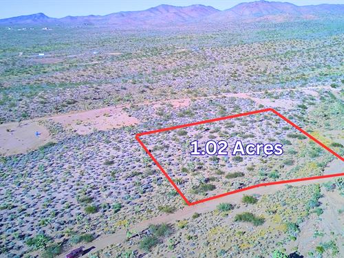640 Acres of Adventure : White Hills : Mohave County : Arizona