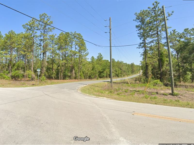 $99 Down Land Rush : Dunnellon : Marion County : Florida