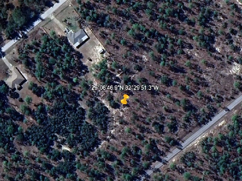 $99 Down Black Friday Land Rush : Dunnellon : Marion County : Florida