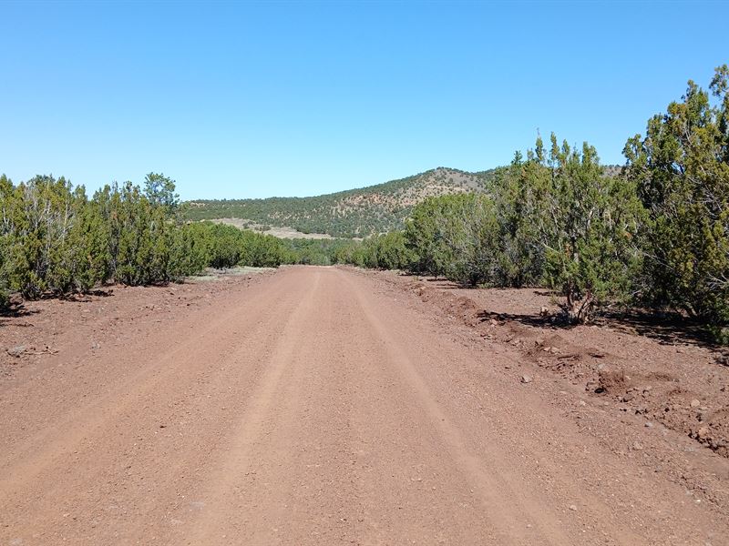 Build Your Future Own This Land : Vernon : Apache County : Arizona