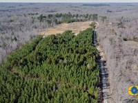 Hillard Branch 2 : Parsons : Decatur County : Tennessee