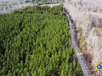 Hillard Branch 3 : Parsons : Decatur County : Tennessee