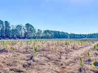 Bulloch Sands 8 : Statesboro : Bulloch County : Georgia