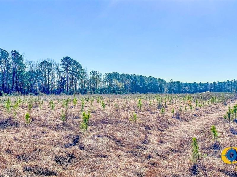 Bulloch Sands 8 : Statesboro : Bulloch County : Georgia