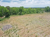 Bulloch Sands 9 : Statesboro : Bulloch County : Georgia