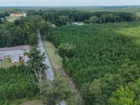 Pleasant Ridge Lot 1 : Pine Bluff : Jefferson County : Arkansas