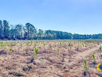 Bulloch Sands 12 : Statesboro : Bulloch County : Georgia