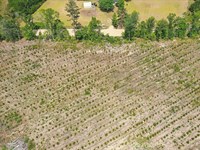 Bulloch Sands 15 : Statesboro : Bulloch County : Georgia