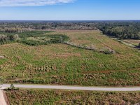 Spanish Drive Tract : Bowman : Orangeburg County : South Carolina