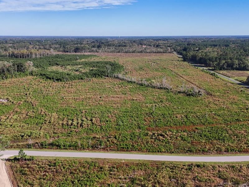 Spanish Drive Tract : Bowman : Orangeburg County : South Carolina