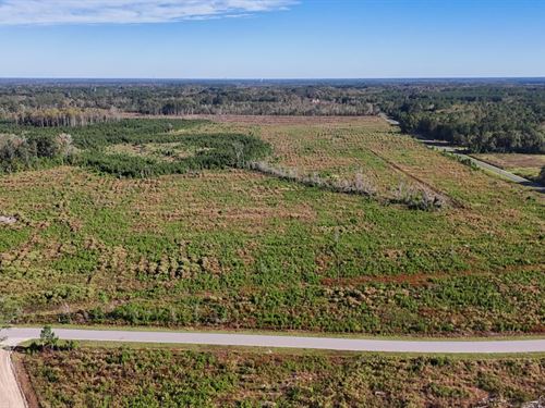 Spanish Drive Tract : Bowman : Orangeburg County : South Carolina