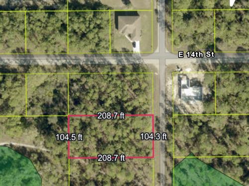 Your Blank Slate for Coastal Living : Lehigh Acres : Lee County : Florida