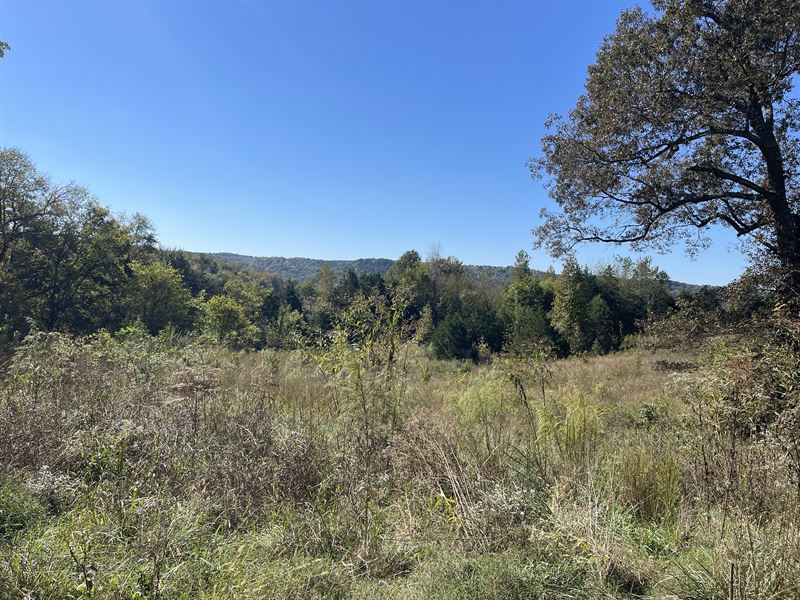 10 Acres with View to Build on : Clifton : Hardin County : Tennessee