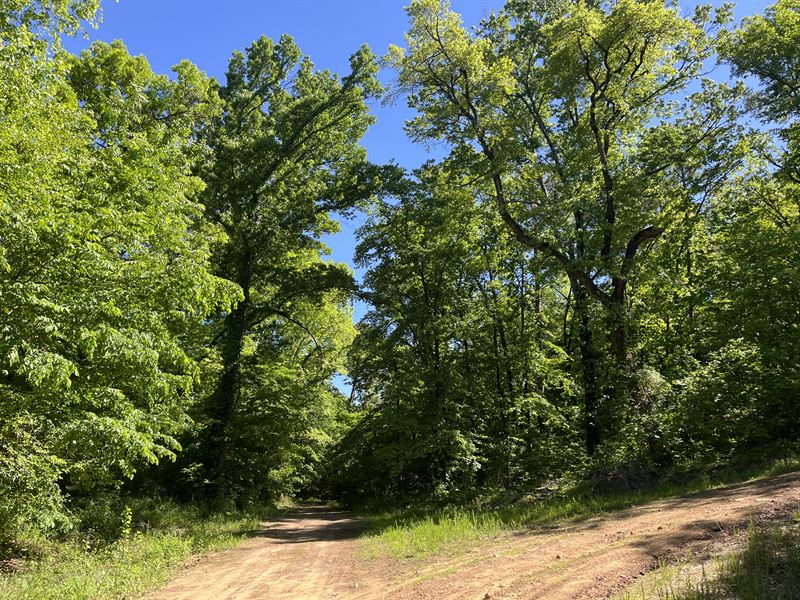 Mountain Land for Sale in Southeast : Moyers : Pushmataha County : Oklahoma