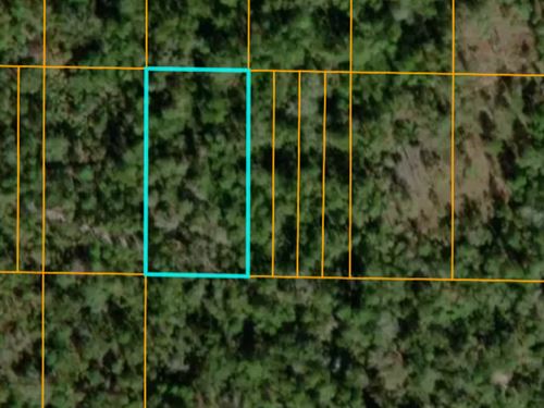 Fun All Year Round with This Lot : Frostproof : Polk County : Florida