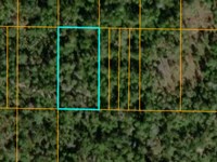 Year-Round Fun with This Lot : Frostproof : Polk County : Florida