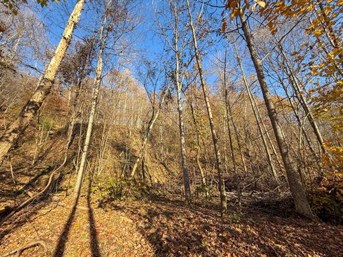Deaver Rd Lot 2, 11 Acres : McConnelsville : Morgan County : Ohio