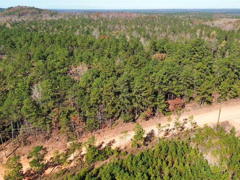 5 Acres Lee County, AL : Salem : Lee County : Alabama