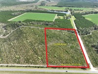 13.1 Acres Jamestown Rd : Waycross : Ware County : Georgia