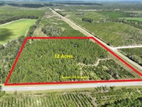 12 Acres Jamestown Rd Tract 10 : Waycross : Ware County : Georgia