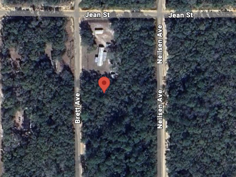 Brett Ave Property with Electricity : Interlachen : Putnam County : Florida