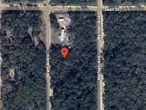 Brett Ave Property with Electricity : Interlachen : Putnam County : Florida