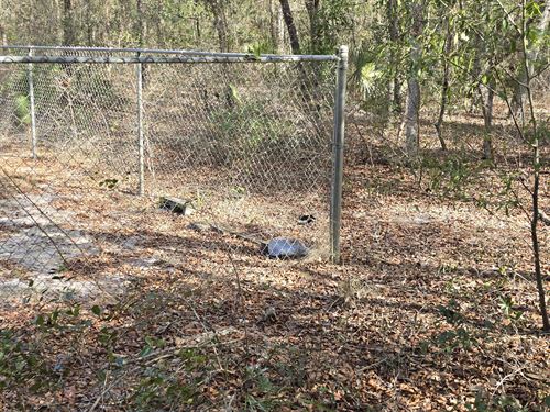 Brett Ave Property with Electricity : Interlachen : Putnam County : Florida