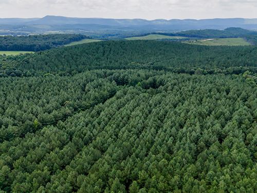 Back Valley Tract 6 : Lyerly : Chattooga County : Georgia