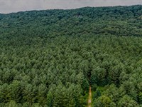 Back Valley Tract 7 : Lyerly : Chattooga County : Georgia