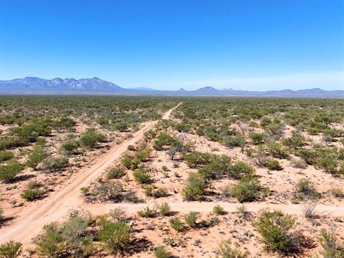 Build a Desert Ranch : Tucson : Pima County : Arizona