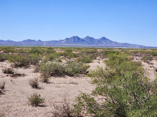 Your Weekend Desert Break : Deming : Luna County : New Mexico