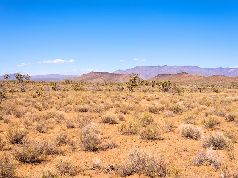 Live Lighter and Cheaper : Dolan Springs : Mohave County : Arizona