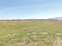 Prime Half Acre in Deming, Luna, NM : Deming : Luna County : New Mexico