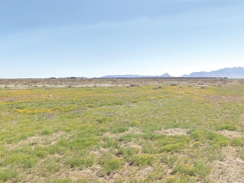 Prime Half Acre in Deming, Luna, NM : Deming : Luna County : New Mexico