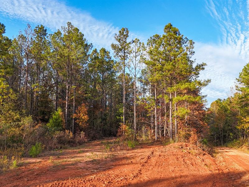 10+ Acres in Oak Bowery : Lafayette : Chambers County : Alabama