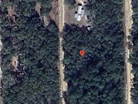 Property Near a House at Brett Ave : Interlachen : Putnam County : Florida
