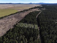 Backing Up To Scott Creek, Power : Chiloquin : Klamath County : Oregon