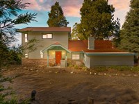 Mountain Rose : Palomar Mountain : San Diego County : California