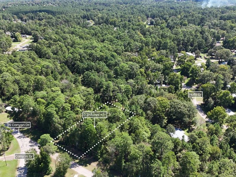 .31 Ac Lot Near Lake Livingston : Onalaska : Polk County : Texas