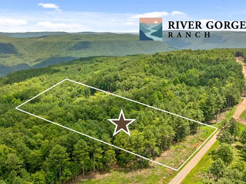 Mountain View Site, River Gorge : Guild : Marion County : Tennessee