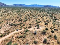 Mountain Views as Your Backdrop : Tucson : Pima County : Arizona