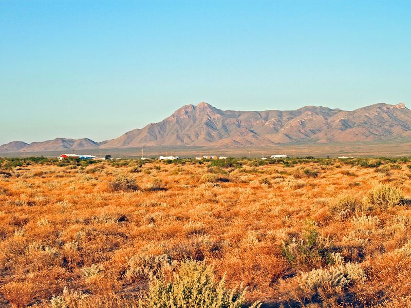 Enjoy Campfire with Family : Deming : Luna County : New Mexico