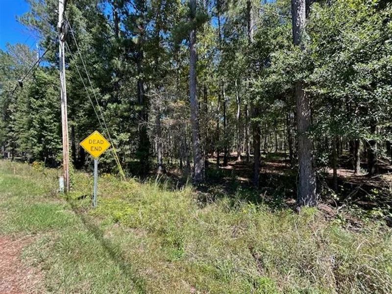 2.21 Acres, Summit, MS : Summit : Pike County : Mississippi