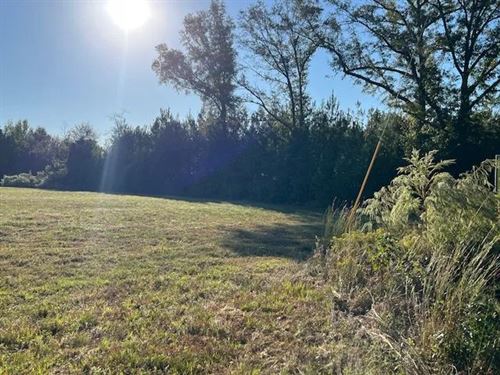 5.22 Acres in Crenshaw County, AL : Luverne : Crenshaw County : Alabama