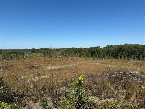 19 Acres in Choctaw County, MS : McCool : Choctaw County : Mississippi