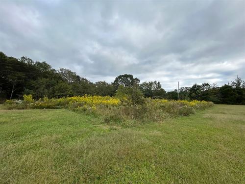 2.34 Acres in Polk County, AR : Mena : Polk County : Arkansas